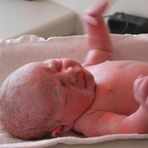 Verloskundigenpraktijk Lavita image 1