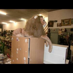 Kringloop AFRIKA image 3