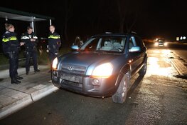 Weer hert aangereden op Zeeweg Overveen