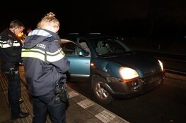 Weer hert aangereden op Zeeweg Overveen