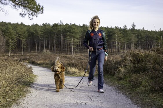 Boswachters zoeken leukste hond van Noord-Holland