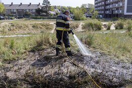 Duinbrandje Zandvoort snel geblust