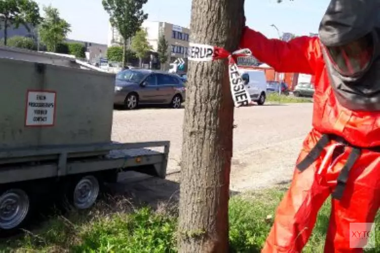 Onderzoek eikenprocessierups gestart