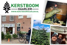 Een echte kerstboom kopen? Natuurlijk bij Kerstboom Haarlem