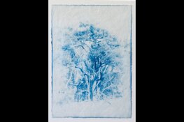 Expositie Monique van der Mije - Galerie BHAMD