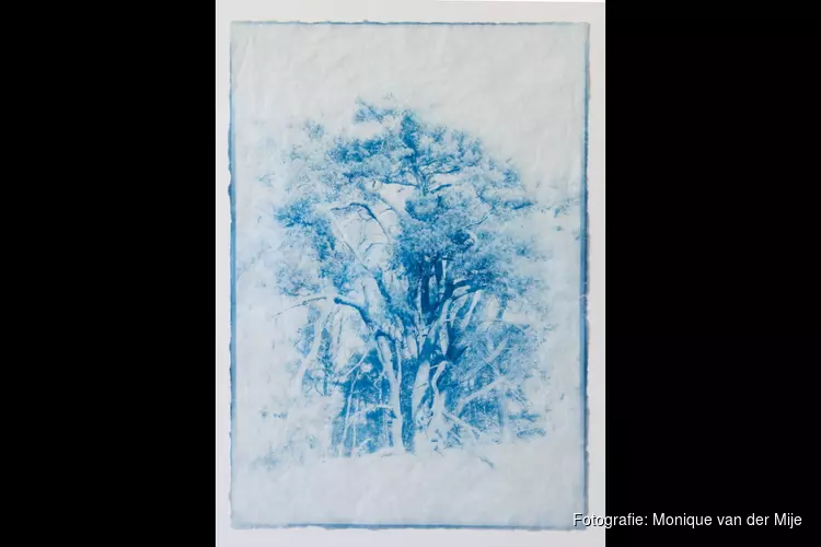 Expositie Monique van der Mije - Galerie BHAMD