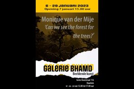 Expositie Monique van der Mije - Galerie BHAMD