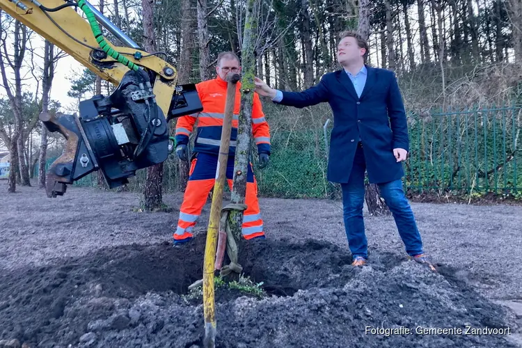 Bomen verhuizen naar monument aan Linnaeusstraat