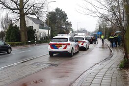 Kopstaartbotsing in Bennebroek