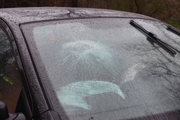 Kopstaartbotsing in Bennebroek