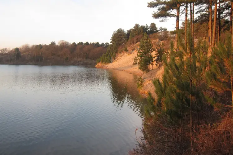 Rondje Oosterplas in juni