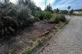 Beginnende duinbrand in Zandvoort