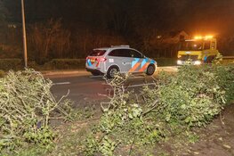 Tesla door heg tegen hekwerk na mislukte inhaalactie in Zandvoort