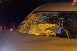 Auto tegen boom gereden in Vogelenzang
