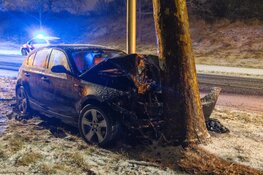 Auto tegen boom gereden in Zandvoort