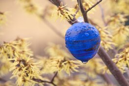 Maart roert zijn staart en april doet wat het wil. 2e Paasdag regenachtig, daarna wisselvallig met hogere temperaturen