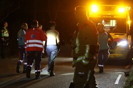 Meerdere gewonden bij eenzijdig ongeval op N206 bij Vogelenzang