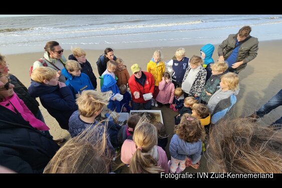 Vissen met een kor voor kinderen