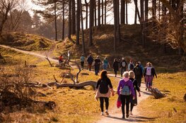 Inschrijving 30 van Zandvoort, Omloop van Zandvoort en Zandvoort Circuit Run geopend