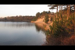 Rondje Oosterplas in november