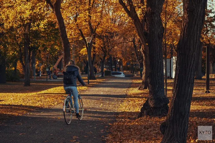Na onstuimig weekend volgt rustiger herfstweer met hogere temperaturen