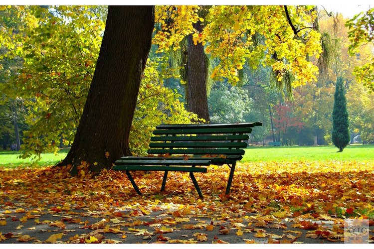 Koudere nachten, overdag rustig herfstweer