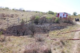 Brand in heide bij Zandvoort