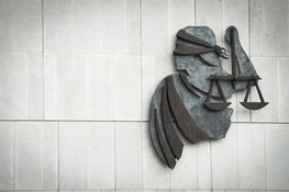 OM eist straf tegen Statenlid dat klimaatdemonstrant aanreed