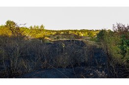 Brand in de duinen bij het Duinpierpad in Zandvoort