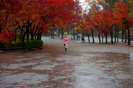 Onstuimig weekend bij ingaan wintertijd, daarna rustiger herfstweer