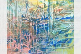 Nieuwe expositie in Pluspunt