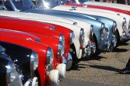 British Race Festival action-packed 'Feestival'