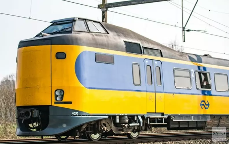 Vrees wordt werkelijkheid: damhert aangereden door trein