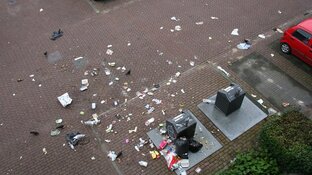 Buurt in Hoofddorp wil aanpak rondzwervend huisvuil: "We zijn het zat!"