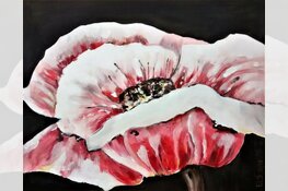 Schilderclubjes exposeren in Pluspunt