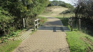 Hertenfluisteraar bekritiseert &#39;nutteloze&#39; wildroosters: "Geeft de provincie hier geld aan uit?"