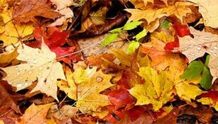 Moet de winterjas nou al uit de kast of niet?