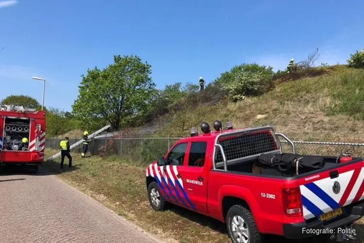 Duinbrand Zandvoort in de kiem gesmoord