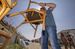 Duizenden bijen gaan dagje naar het strand bij Zandvoort