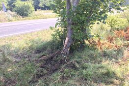 Cabrio tegen boom, twee gewonden