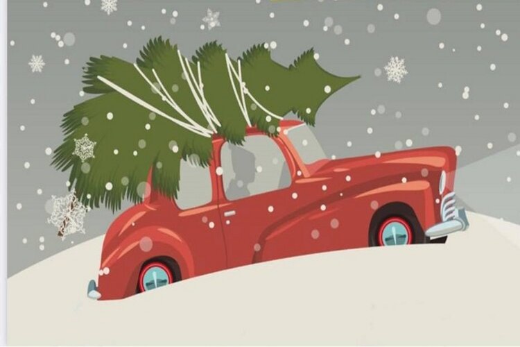 Kerstbomenverkoop bij IJzerhandel Zantvoort