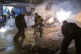 Politiehonden oefenen met vuurwerk