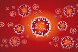 Het coronavirus kan overleven