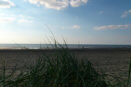 'Bezoeker van strand Zandvoort: houd je aan de regels'