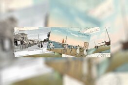 Europees Kampioenschap Zandsculpturen 2020, “Zandvoort goes Wild!”