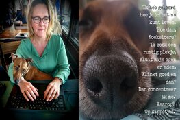 Henrike deelt shotjes optimisme uit: “Mensen snakken naar positieve geluiden en oprechte aandacht”