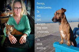 Henrike deelt shotjes optimisme uit: “Mensen snakken naar positieve geluiden en oprechte aandacht”