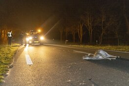 Hert overleden na aanrijding met wagen Koninklijke Marechaussee