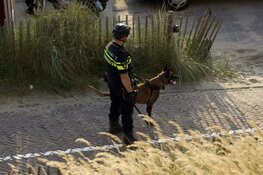 Aanhouding en twee gewonden bij vechtpartijen op strand Zandvoort